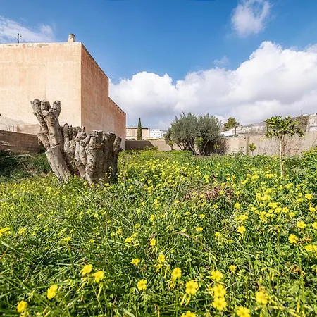 La Casa Del Medico Dalias